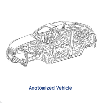 Anatomized Vehicle